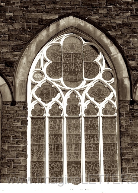Wall_Art_Alphabet_Photography_Art_ 1481.jpg